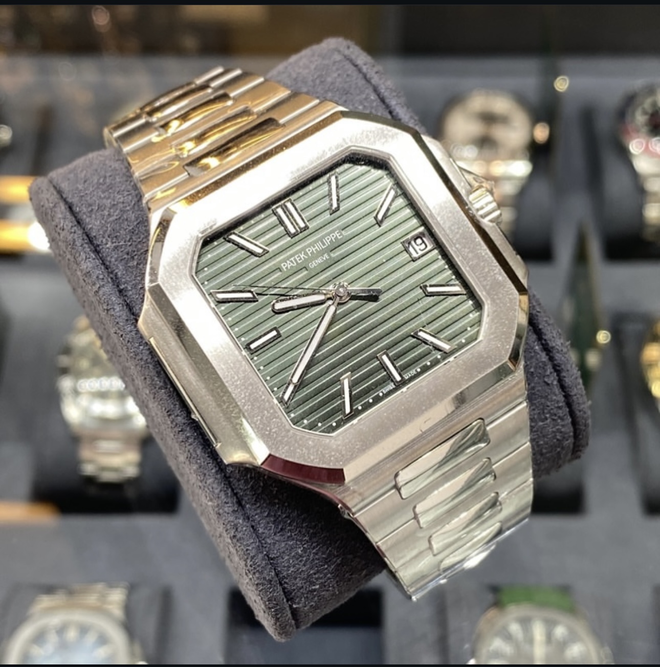 Nautilus Green